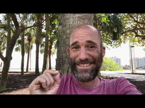 Question: Will AI Kill Junior Level Dev Jobs