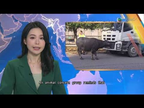 TVB News at 7:30|18 MAR 2026|HONG KONG English Latest NEWS|