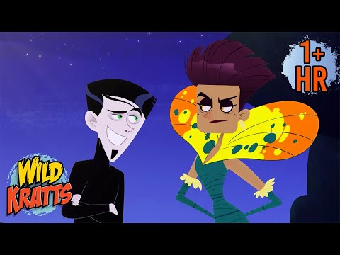 Night Creatures 🌙 | Animal Cartoons for Kids | Wild Kratts | Scholastic Kids