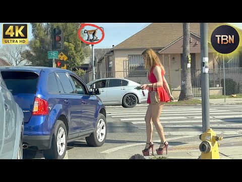 Moments Of Instant Karma Caught On Camera | Best Of The Week #197