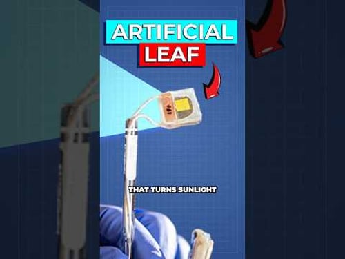 Scientists Create Artificial Leaf That Converts CO2 into Fuel