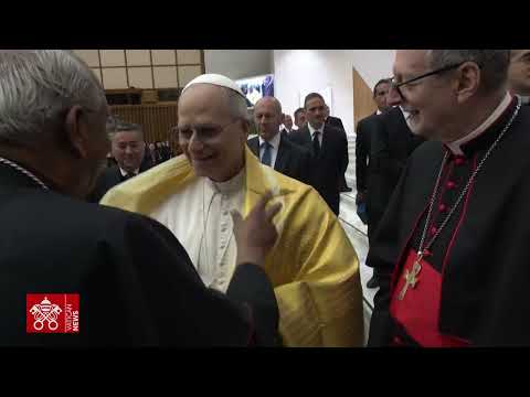 Papst Leo XIV.: Ein Monat Pontifikat - 7. Juni 2025