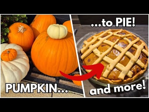 Not Just for Carving! 5 Delicious Ways to Use Pumpkin Flesh