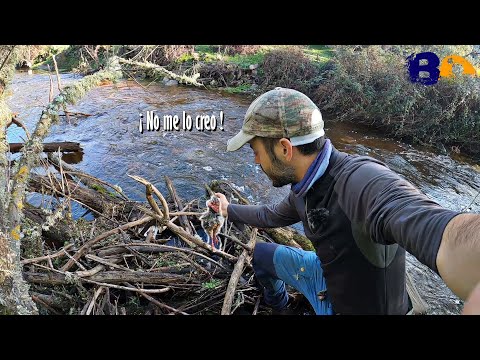 Partridges, rabbits, hares and woodcocks 🔥All species of small game!🔥