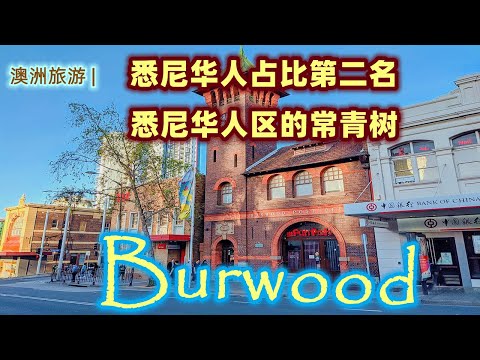 澳大利亚旅游 | 悉尼华人区常青树 Burwood (宝活)| 新南威尔士州华人占比第二名 | 华人移民首选之地 | Visiting Burwood Sydney | 悉尼三大华人区系列视频第三集