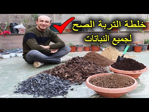 The Perfect Mix Soil for Planting