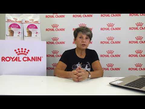 Тайны рыжего плаща и что не дано коту.