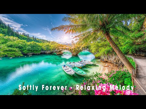 Softly, Forever - Relaxing Melody