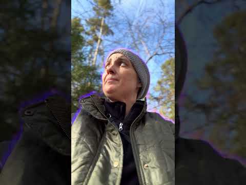 SÍNDROME de IMPOSTOR en TECNOLOGÍA 🇩🇪😅