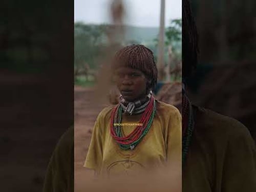 Gli Hamer e la prova dei Tori #progettohappiness #documentary #wildlife #shorts #hamertribe