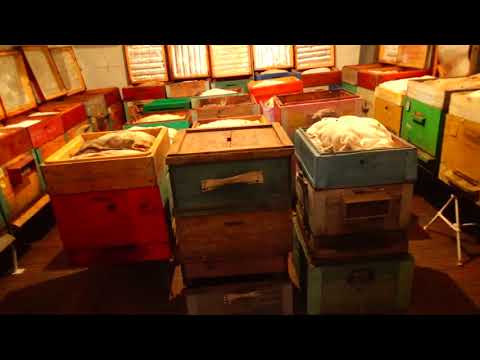 OMSHANIK 2019 !! Experiment !!