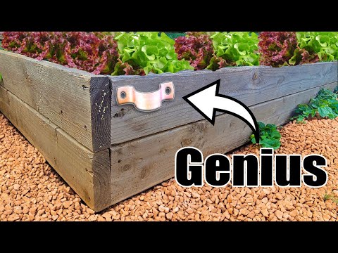 7 Raised Bed Gardening Hacks You’ll Wish You Knew Sooner