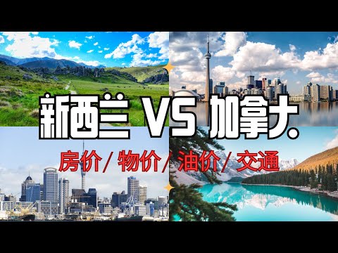 “放弃” 新西兰,选择加拿大的原因!移民加拿大,新西兰,必看!