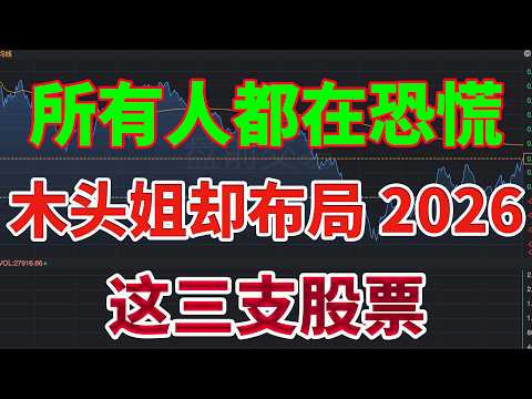 所有人都在恐慌;ARK木头姐凯茜·伍德(Kathy Wood)却在布局2026年,买入这三支股票;核心精选内容,不看后悔!