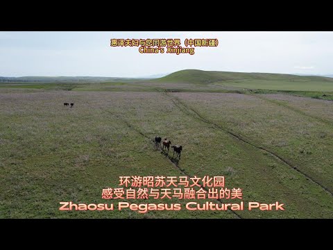 环游昭苏天马文化园感受自然美景与天马融合出的美