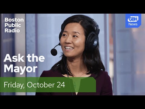 Boston Mayor Michelle Wu on Zohran Mamdani's city-owned grocery store plan