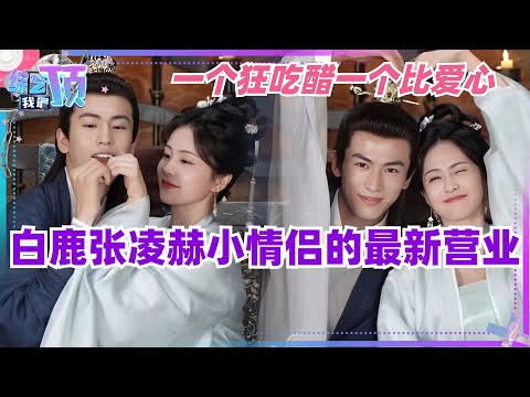 白鹿、张凌赫超甜营业!宁安如梦小情侣来发糖,张凌赫采访狂吃醋,和白鹿一起跳爱心舞超甜!| 娱乐 | 综艺 | 电视剧