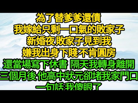 為了替爹爹還債 我嫁給只剩一口氣的敗家子,新婚夜 敗家子見到我,嫌我出身下賤 不肯圓房,還當場寫下休書,隔天我轉身離開,三個月後 他高中狀元卻堵在我家門口,一句話 我傻眼了