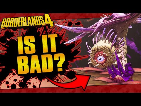 I Destroyed The NEW Raid Boss Bloomreaper The Invincible... Here Are My Thoughts // Borderlands 4