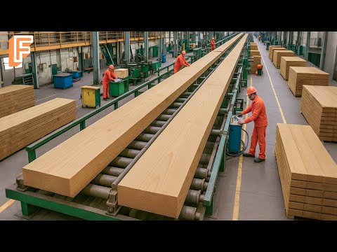 How Millions Of Pieces Of Lumber Are Made From Giant Logs Inside America’s Mega Mill