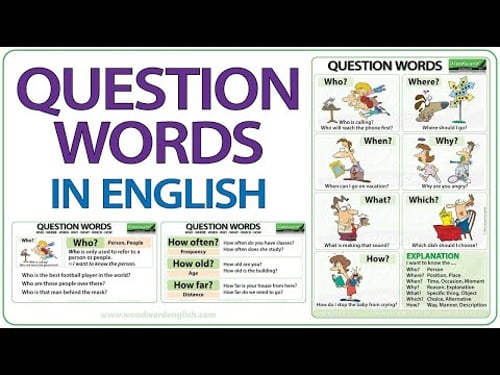 Question Words in English