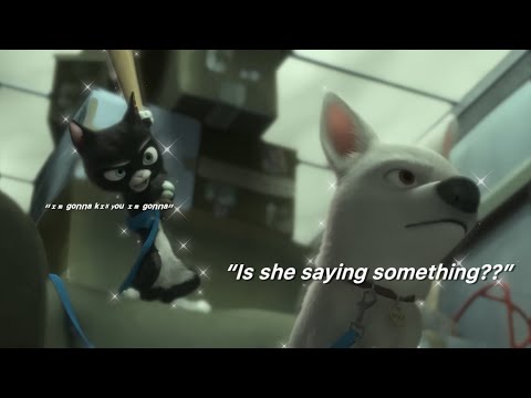 Bolt and Mittens slowly becoming friends for 24 mins straight