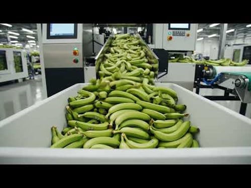 Watching Banana Chips Get Made Is Actually Wild (Full Production Process)