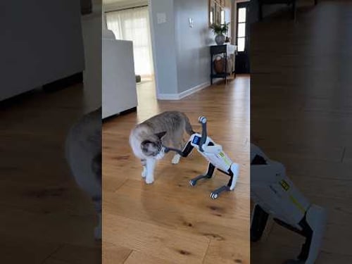 Gary’s new bestfriend😂