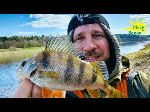 Рыбалка Весной. Джиг, Микроджиг, Отводной. Ловля Окуня