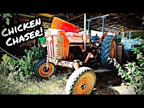 UNTOUCHED Vintage Massey Ferguson Tractor - Will it Run and Move?