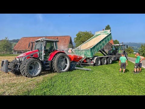 Вносимо КРЕЙДУ в поле! НЕ вистачає СІНА коровам!