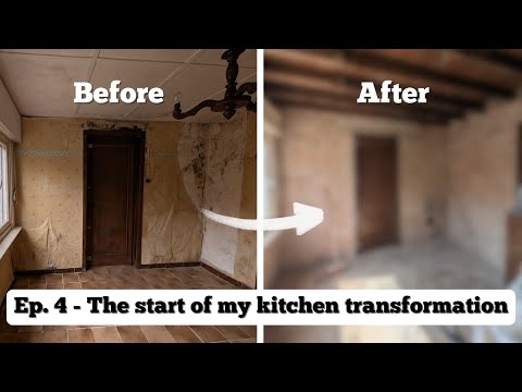 Ep. 4 - The start of my kitchen transformation!