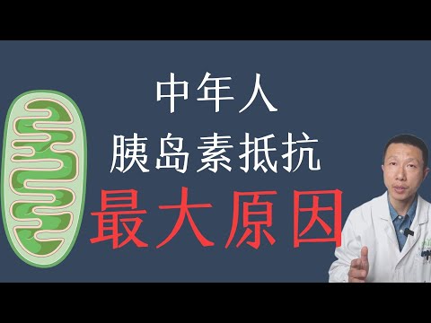 The primary cause of insulin resistance in middle-aged individuals and how to quickly remedy it.