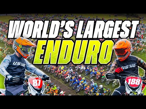 We were NOT prepared for the Gotland Grand National