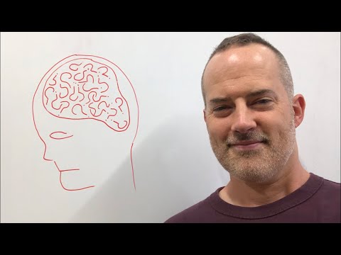 The Questions Your Brain Asks Before You Speak English