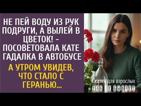 Не пей воду из рук подруги, а вылей в цветок! - посоветовала Кате гадалка в автобусе… А утром герань