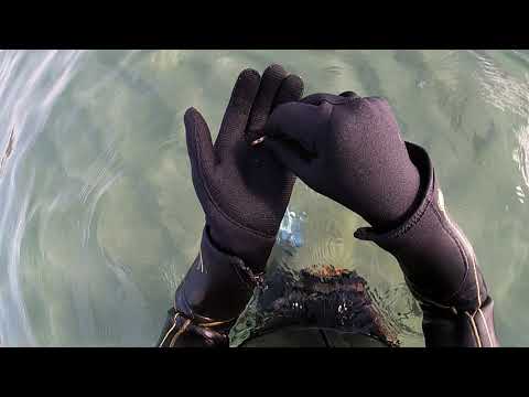 ЗОЛОТО И СЕРЕБРО ПОСЛЕ ШТОРМА коп в Барселоне .