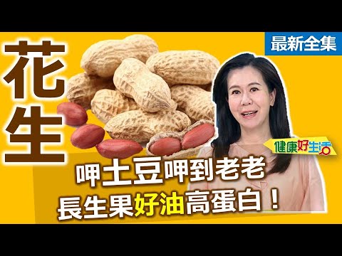 健康好生活 20241203 呷土豆呷到老老 長生果「花生」好油高蛋白!