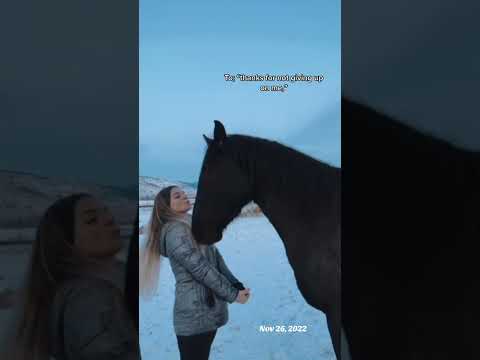 We’ve come a long way but it was worth every second it took to get here ♥️#horselife #ourjourney