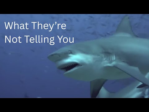 All Fatal Shark Attacks of 2015 And The Great Shark Coverup