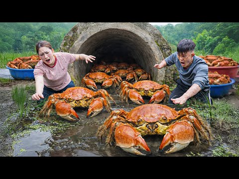 Harvesting Giant Hairy Crabs Vietnam, Cooking Spicy Crab Soup | Unique Rural Dish You Must Try