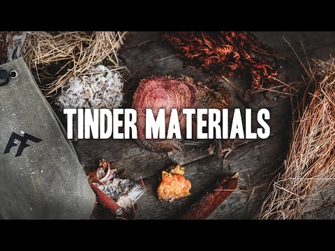 Discover The Best Tinder Sources In The Wild - Harvesting Tinder Materials Like A Pro