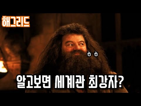 《해그리드》 당신이 몰랐던 몇 가지 비밀들