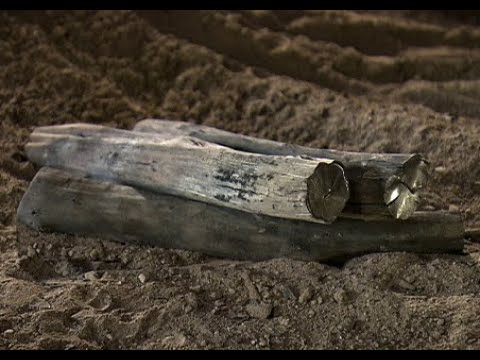 #159 紀州備長炭 製炭士 湯上 彰浩 | 明日への扉 by アットホーム