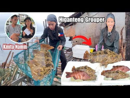 Jackpot Ulit Malaking Blessings 😲Marami Ang Harvest Kung Grouper
