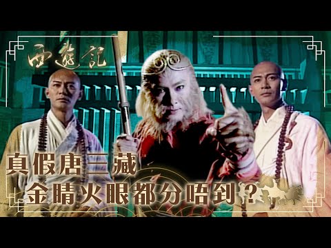 西遊記|真假唐三藏 金睛火眼都分唔到?(繁/簡字幕)|張衛健|江華|錢嘉樂|TVB港劇精華