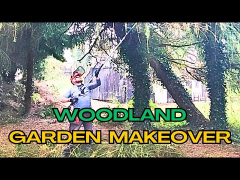 Restoring a 350 Year Old WOODLAND Garden to Its Former Glory!