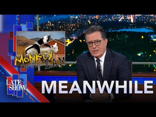 Meanwhile… Stevie Nicks Barbie | Gen Z Dropping Southern Accents | Monkey on the Lam