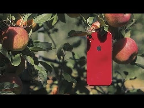 iPhone XR vs. XS: Which Apple Do You Pick?