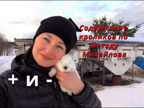 Rabbit Farming Using the Mikhailov Method / RABBIT FARM / Pros and Cons